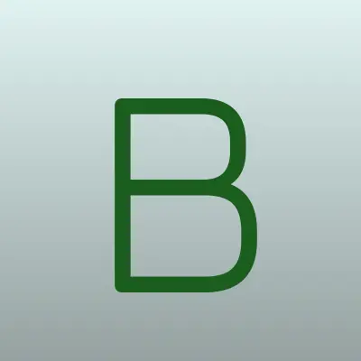 BAIKAL STONE, интернет-магазин камней для напитков, лого-визитка