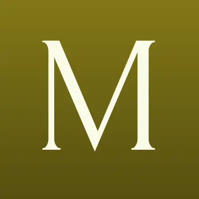 Мегафон, терминал, лого-визитка