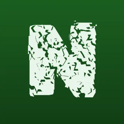 Nord, салон обуви, лого-визитка