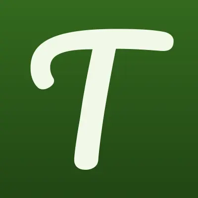 Torex, магазин дверей, лого-визитка